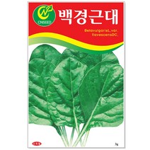 열무 씨앗 15g / 채소씨앗 열무씨 열무씨앗 무씨앗, 18_백경근대(5g)