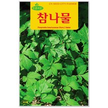 청농종묘 신선초 씨앗 100립 신선초씨앗 신선초씨 당귀 씨, 23_참나물(900립)