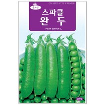 청농종묘 더덕 씨앗 1500립 더덕씨앗 더덕씨 산나물 씨, 29_스파클완두(200립)