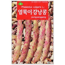 청농종묘 완두콩 씨앗 200립 완두콩씨 완두콩씨앗 콩씨, 28_얼룩이강낭콩(70립)