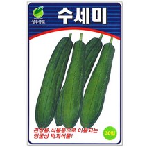 청농종묘 참나물 씨앗 900립 참나물씨앗 참나물씨 취나물 씨, 30_수세미(30립)