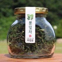 하립골 뽕잎차 직접재배 뽕잎새순차 국산, 10g, 1병, 1개