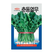 경신종묘 열무씨앗 춘동열무 60g