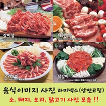 샵앤링크 음식사진 음식사진코팅 육류사진 고기사진 음식이미지, 33_꼼장어