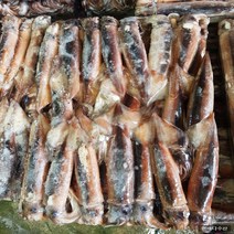한바다수산 국내산 냉동 선동오징어 8.5kg, 1개, 1.소소