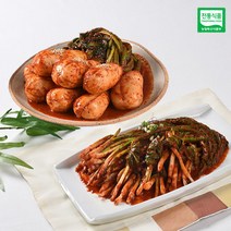 [손맛] 남도 알타리김치 2kg + 파김치 2kg, 1box