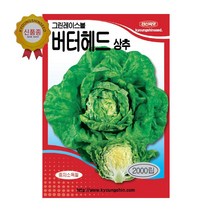 경신종묘 상추씨앗 그린레이스볼버터헤드상추 2000립