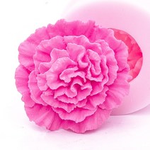 수제몰드 카네이션(대)(m)