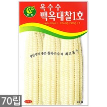 청농종묘 청룡무 씨앗 15g 무씨앗 무씨 봄무씨앗 가을무 채소씨앗 무 무우, 05_백옥대찰1호옥수수(70립)