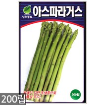 청농종묘 황백 초당옥수수 씨앗 100립 초당옥수수씨앗 옥수수씨앗 초당옥수수씨 옥수수씨, 01_아스파라거스(200립)