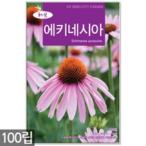 챠빌 씨앗 500립 / 허브씨앗 챠빌씨앗 허브씨 챠빌씨 처빌 허브 향신료, 10_허브_에키네시아(100립)