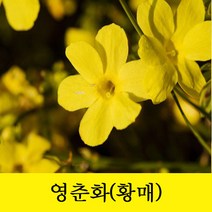 인기 많은 춘식공기정화 추천순위 TOP100 상품들