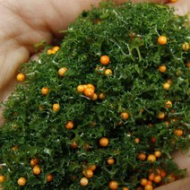 한결모형 조경재료 파우더, 옵션16