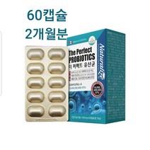 캐나다the퍼펙트 유산균 프로바이오틱스 프리바이오틱스 프롤린 분말 락토바실러스 가세리 500억 생균 19종 캡슐, 30g, 1개