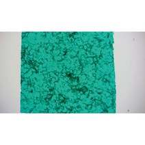 영구프레파라트-유채꽃 백합 (2종1조) /교구6138