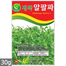 보리 새싹 씨앗 50g / 새싹씨앗 보리씨앗 보리새싹씨앗 새싹보리 보리씨 캣그라스 캣글라스 고양이풀, 15_새싹씨앗_알팔파(30g)