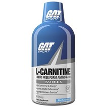 절맨아메리칸테크놀로지스 L-카르니틴 에센셜 블루 라즈베리, 1개, 473ml