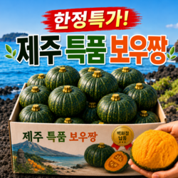 제주 미니 밤호박 보우짱 미니단호박, 1개, 10kg (특품)