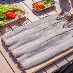 심명진 민물장어 명품 국산 자포니카 민물장어, 1개, 손질 후 600g 이상