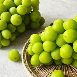 산지직송 고당도 샤인머스켓, 특품 2kg 내외 (2-3수), 1박스