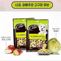 시저 강아지 큐브 트릿