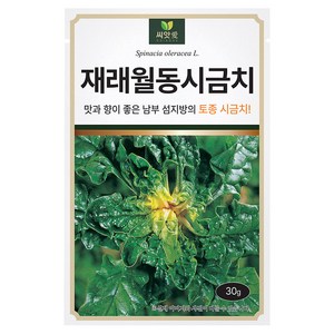 다농 재래월동 시금치 씨앗 30g