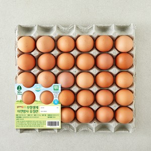 곰곰 무항생제 자연방사 유정란