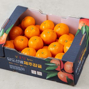 [로켓프레시] 귤탐 당도선별 11brix 감귤