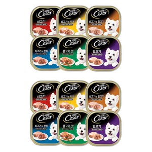 시저 버라이어티팩 반려동물 습식사료 6종 x 2p 세트