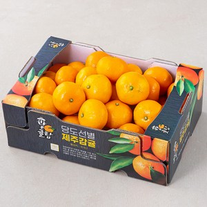 [로켓프레시] 귤탐 당도선별 11Brix 감귤