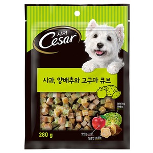 시저 강아지 큐브 트릿