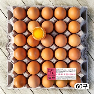 [농장직송] HACCP인증 에그트리농장 특란 생계란(XL)