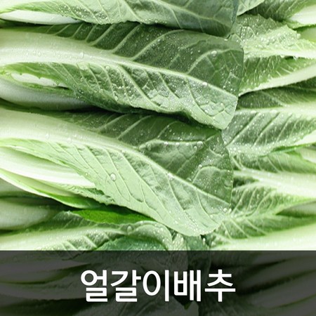 e2aeac87e4b63bb7302adeef93092555d707d30bcba86e69029ee157e643.jpg