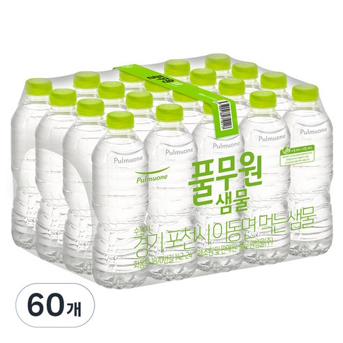월말 장보기 가족 소비량 생수 구매 가이드 풀무원 무라벨 물 2L x 12p 가정 사무실 대용량 생수, 2L