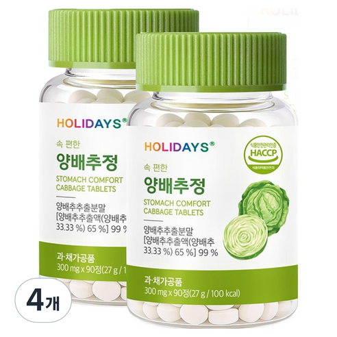 홀리데이즈 속 편한 양배추정