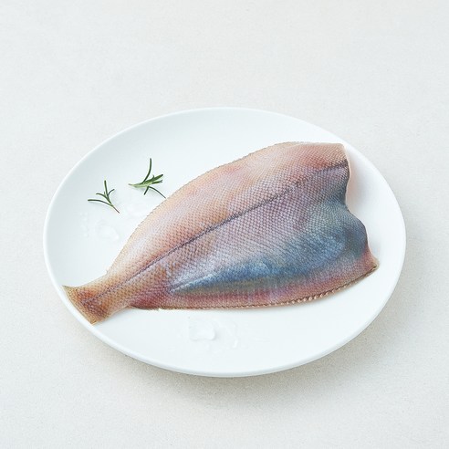 [로켓프레시] 미감어보 국내산 손질 효온처리 생물 가자미 (냉장), 1개, 240g