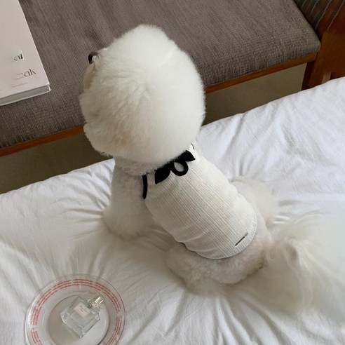 딩동펫 반려동물 로맨틱 리본 나시 티셔츠, 화이트, 1개