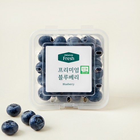 [로켓프레시] 프리미엄 유기농 블루베리 대과