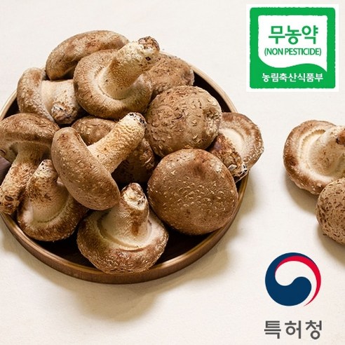 [인증마크보유] 친환경 재배 특허청 인증 백화점 납품 문경 유황 백송화버섯, 상세페이지 확인 필수, 1세트, 120g 분말