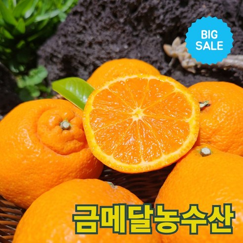 금메달농수산 15브릭스 프리미엄 제주 카라향, 1개, 2kg (중소과)