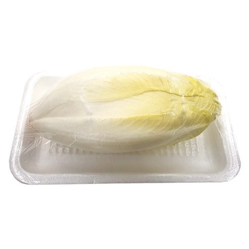 야채왕 엔다이브 1통 앤다이브