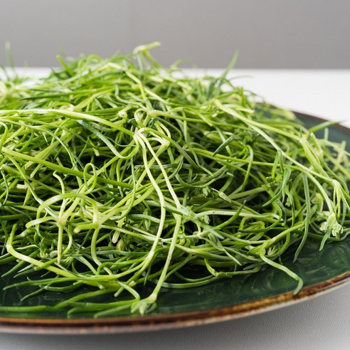 국내산 제철 세발나물 400g 1kg