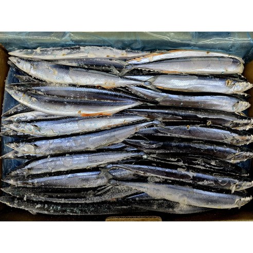 28년경력의 삼풍수산 냉동꽁치 구이용 조림용 낚시 미끼용 3번 100마리내외, 1개, 9kg