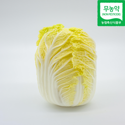 무농약 알배추 배추 쌈배추 알배기배추 통배추 산지직송 당일수확, 6개, 600g