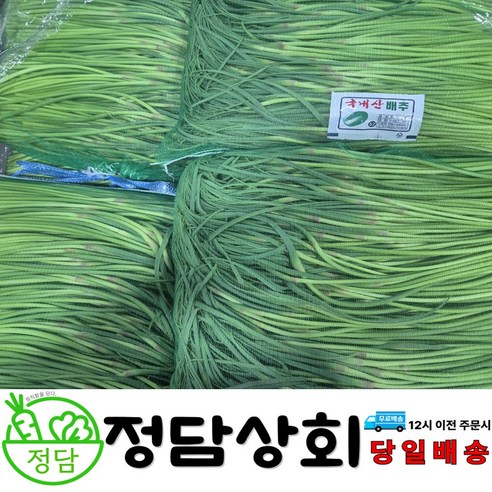 [ 정담상회 ] 국내산 햇 마늘쫑 마늘종 500g, 1kg, 2kg, 3kg, 5kg 내외
