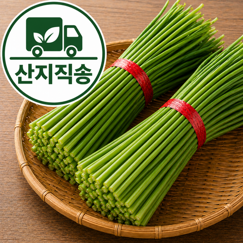 [당일수확발송] 국내산 햇 마늘쫑 특품 마늘종