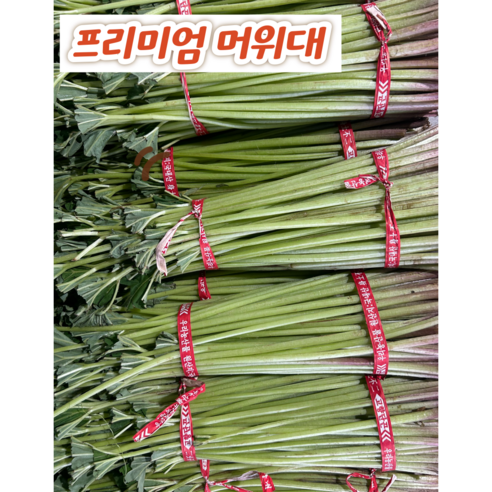 머구대 자연산 노지 머위대 머위 줄기 머웃대 싱싱이네, 2kg, 1박스