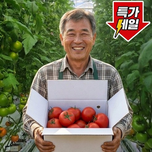 [하루딱100박스] 초특가 국내산 맛있는 완숙토마토