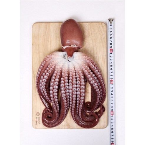 무료배송 ( 아침8시이전 주문 익일배송 )포항 손질 자숙 참 문어 1kg 2kg 죽도시장 제수용 피문어 참문어 돌문어 숙회 냉동 [원산지:국산]