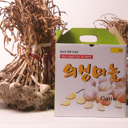 의성마늘 토종 육쪽 통마늘, 햇마늘, 한지형, 1개, 대 반접(마늘 50개, 1.7kg 내외)